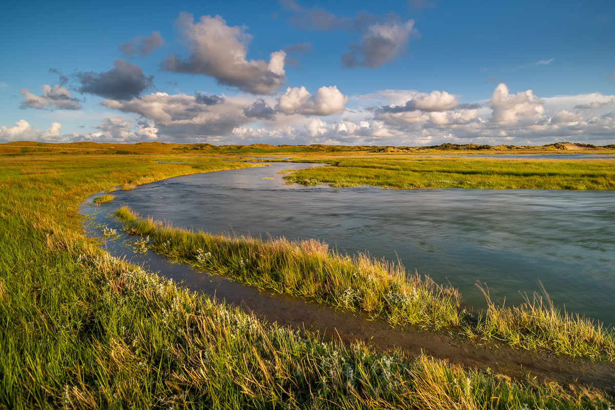 Wasserverlauf in dem Gebiet De Slufter auf Texel
