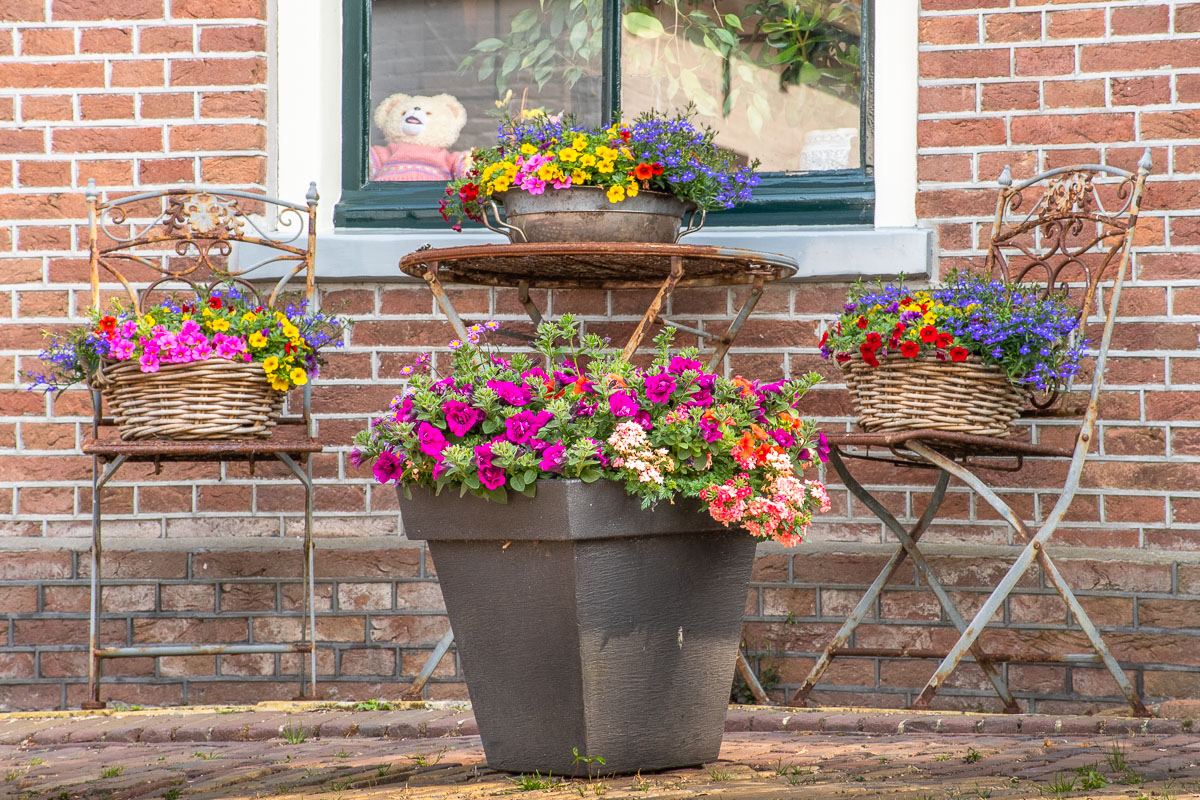 Bunte Blumen stehen vor einem schönen Haus auf Texel