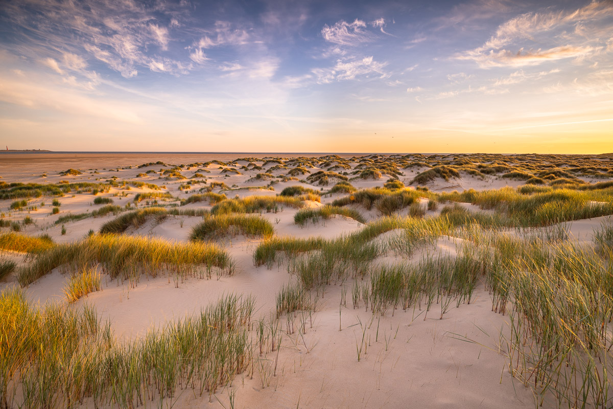 Dünenlandschaft in einem sanftem Licht auf Texel