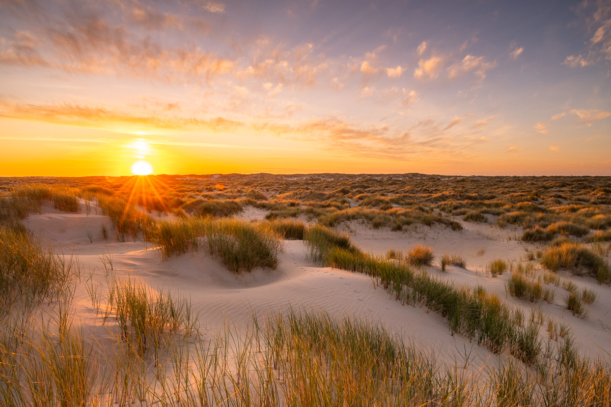Sonnenuntergang in der Dünenlandschaft De Hors auf Texel