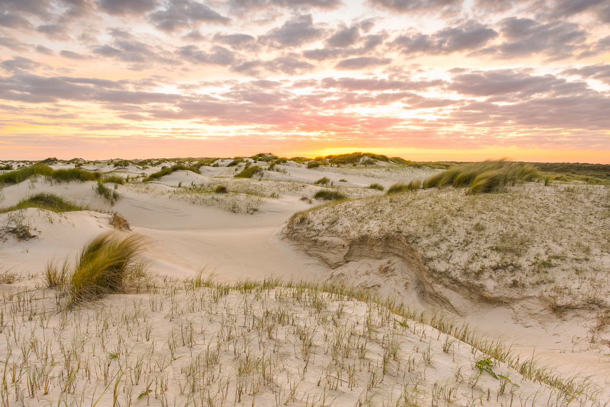 Dünenlandschaft auf Texel bei Sonnenuntergang