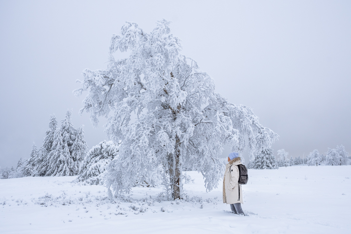 Frau steht vor einem verschneiten Baum