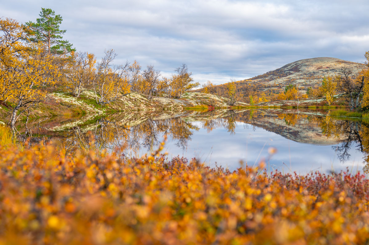Die Natur zeigt uns mit ihrer Ruhe, dass es Zeit braucht, zu wachsen.