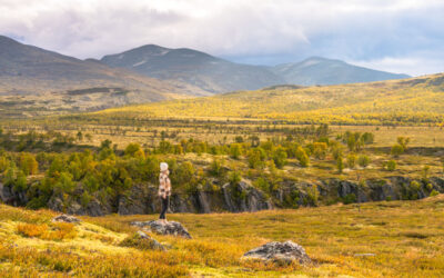 Zu wenig Zeit für den Business-Aufbau? So habe ich es trotzdem geschafft