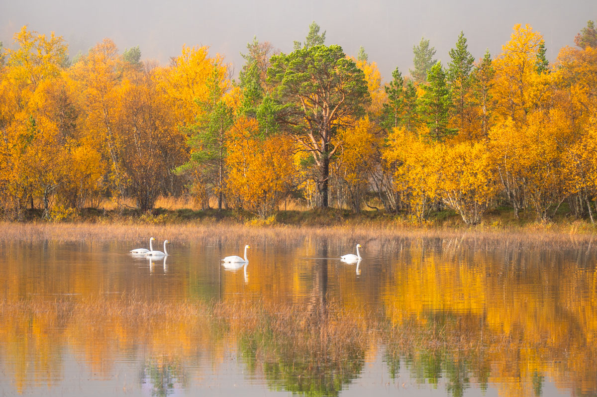 Ein ruhiger See - genauso kannst du dein Business starten.